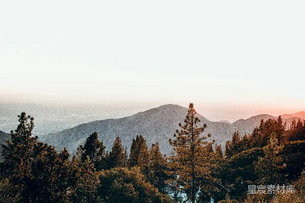 高清摄影 云下各种树木