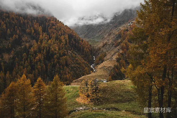 高清摄影 山谷中的美景，树木和山峰在背景中。