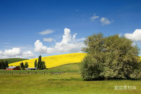 高清摄影 多彩的俄勒冈乡村风景