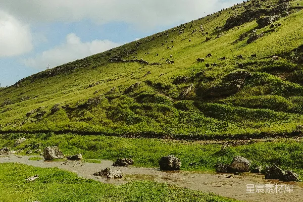 高清摄影 白天绿草地上方有白云的景象