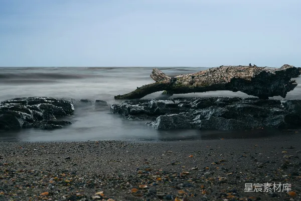 高清摄影 一条有岩石的海滩和一棵树枝探出水面