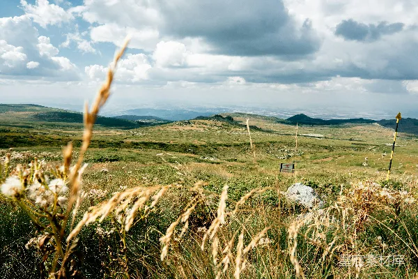 高清摄影 一片长满高草的田地，在背景中是山峦。