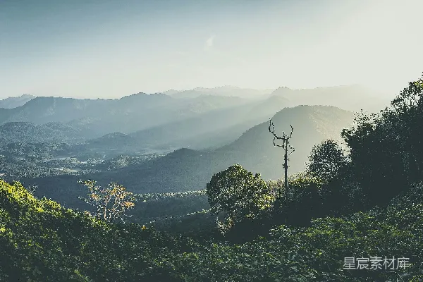 高清摄影 山中白天绿树