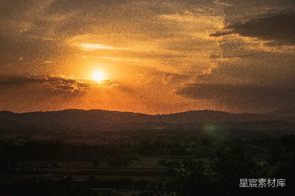 高清摄影 夕阳下树的轮廓