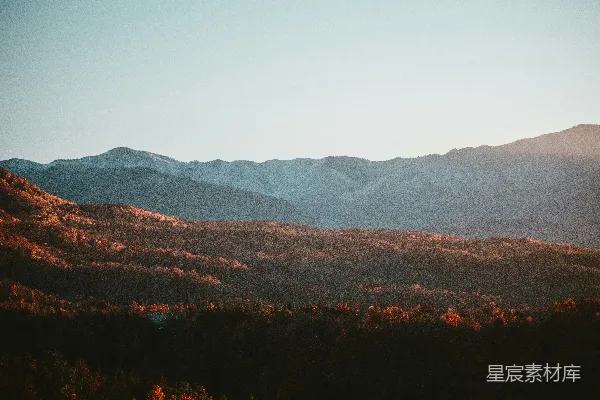 高清摄影 前景中有树木的山峦景色
