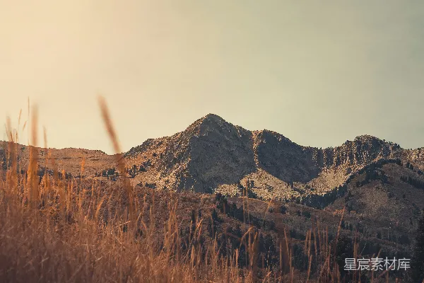 高清摄影 棕色山脚下白天的草地近景
