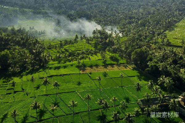 高清摄影 一片绿意盎然山谷的空中俯瞰