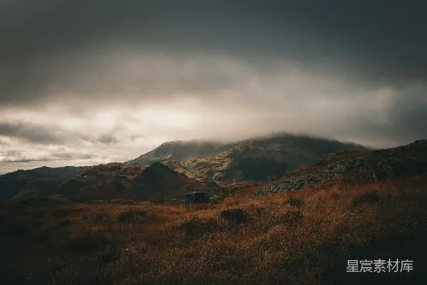 高清摄影 背景中有山的草甸草地