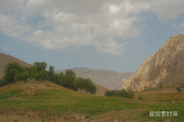 高清摄影 背景中有山的草地上一片草地。