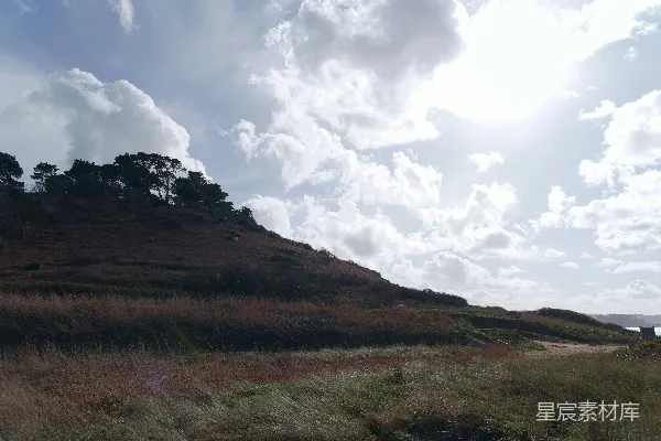 高清摄影 云层下的草坡上有树木