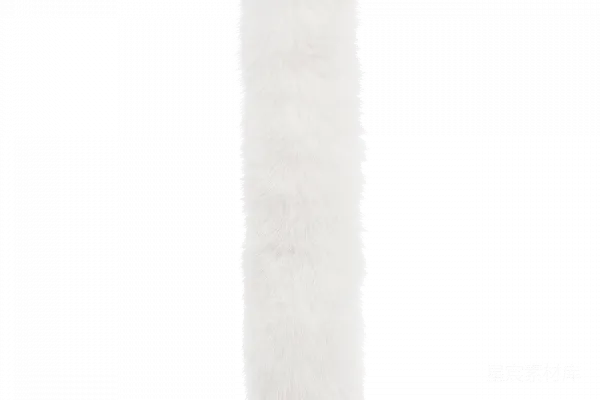 元素素材 PNG