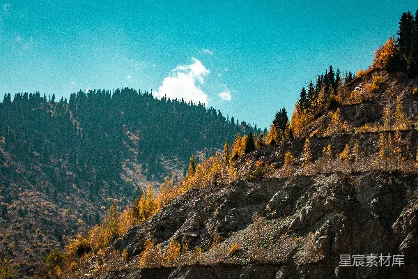 高清摄影 岩石嶙峋的山坡上长满了树木。