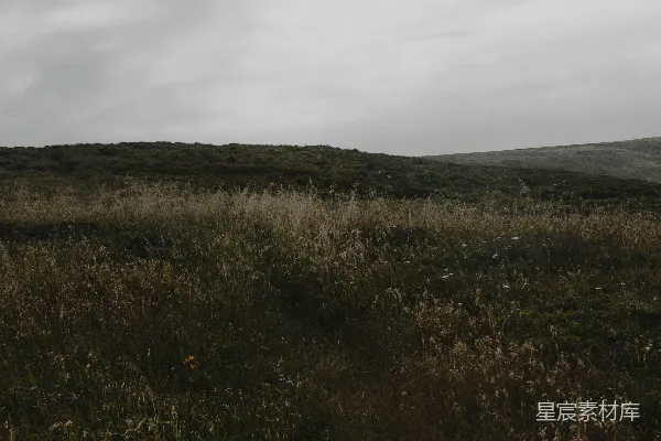 高清摄影 中间有一条土路的草地