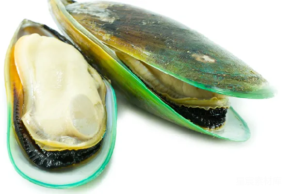 元素素材 牡蛎