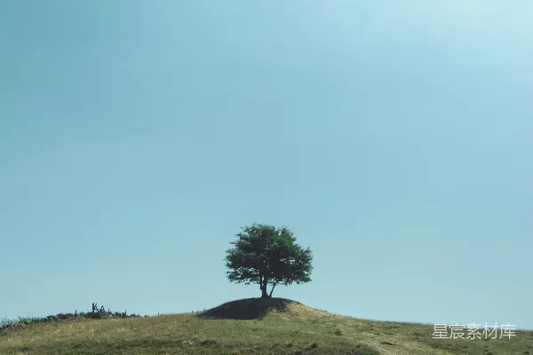 高清摄影 云下绿树