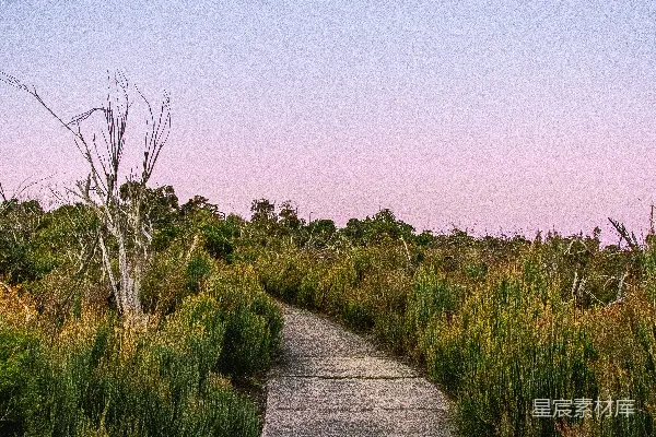 高清摄影 白天绿草地上的一条灰路径