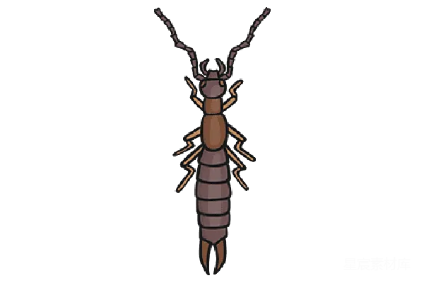 元素素材 PNG