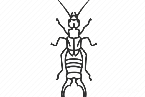 元素素材 耳疥虫