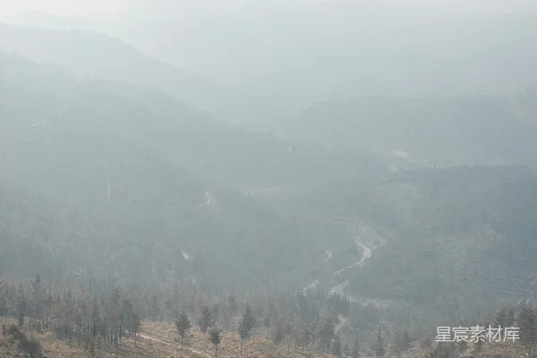 高清摄影 白天绿色和棕色的树木
