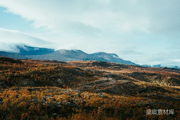 高清摄影 背景中有座山的一片田野
