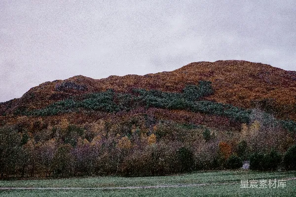 高清摄影 背景有一座山的草甸 fields