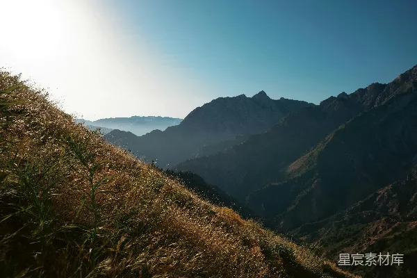 高清摄影 山坡上阳光明媚的景象。