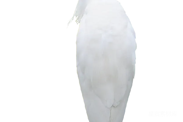元素素材 赫农