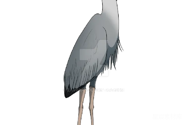 元素素材 透明