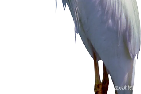 元素素材 赫农