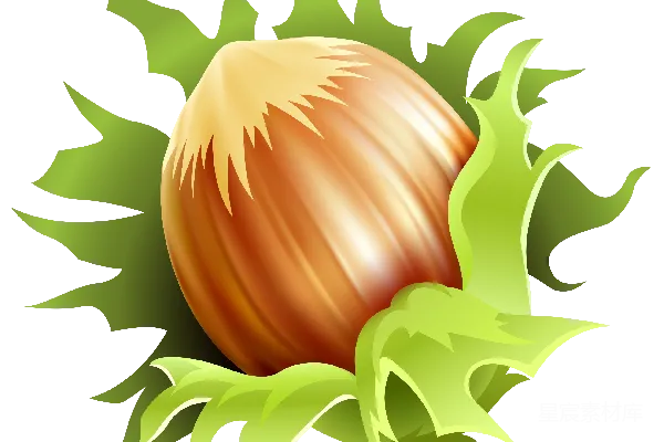 元素素材 透明