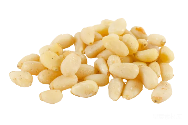 元素素材 pine (树 Pine)