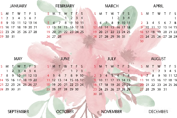 元素素材 2023年花卉主题日历