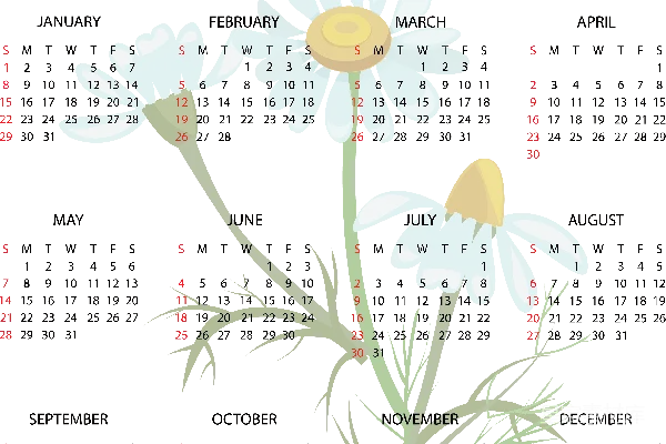 元素素材 日历