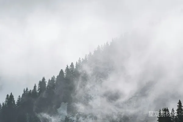 高清摄影 绿树掩映下的白云