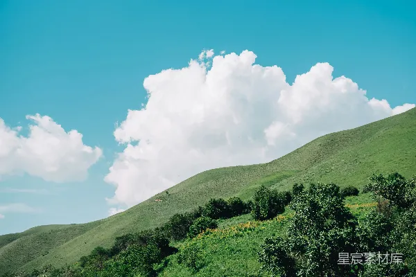 高清摄影 一片郁郁葱葱的绿坡在蔚蓝天空下