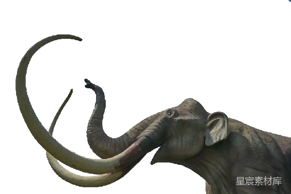 元素素材 猛犸象