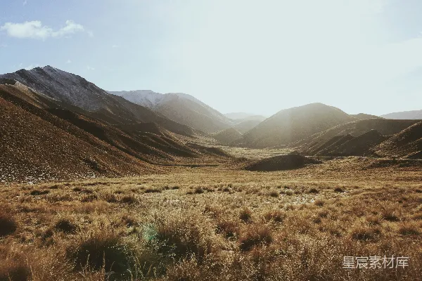 高清摄影 山脚下白天近处的金黄麦田