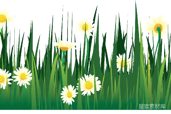 元素素材 透明的