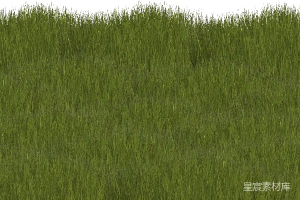 元素素材 草