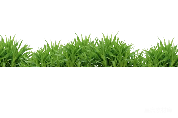 元素素材 草