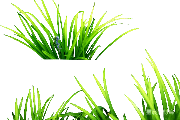 元素素材 草