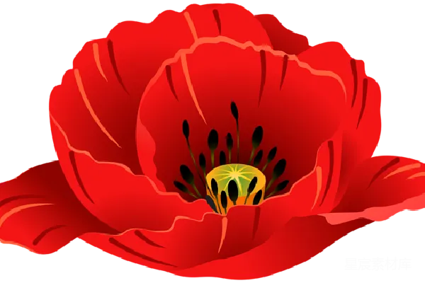 元素素材 PNG