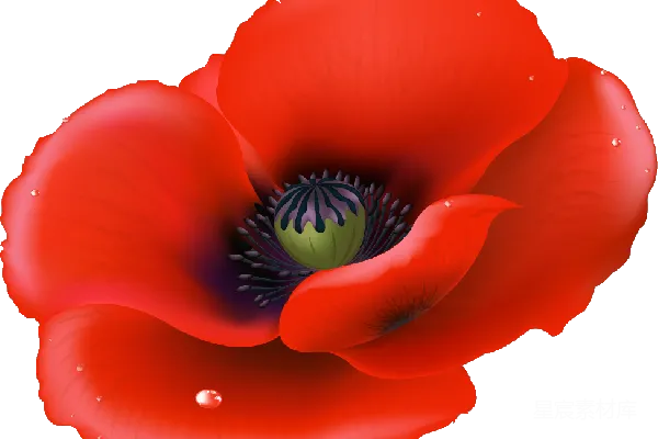 元素素材 花