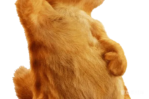元素素材 卡通猫咪搞笑瞬间
