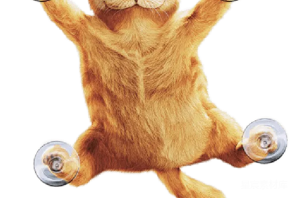 元素素材 愤怒的猫：吸盘猫