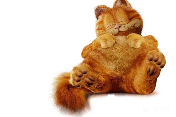 元素素材 慵懒的橘猫