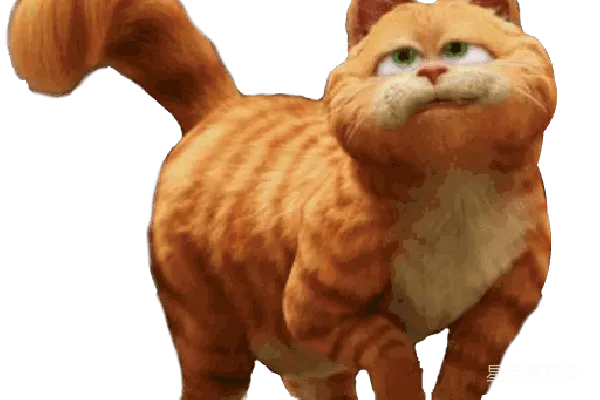 元素素材 加菲猫