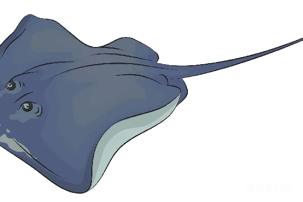元素素材 海王星探测器