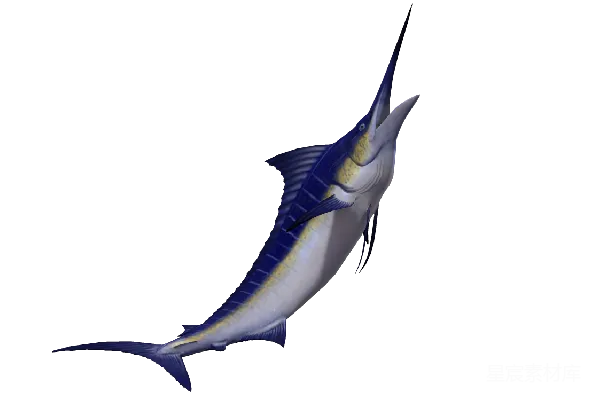 元素素材 蓝色剑鱼3D模型