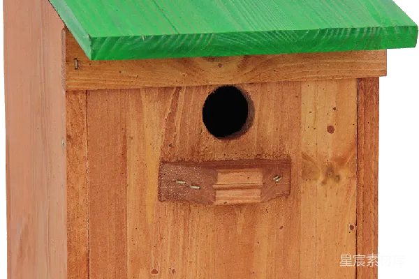 元素素材 nest